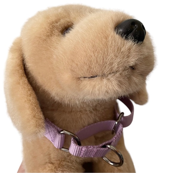 NEW Lilac Purple Martingale Dog Collar M/L NWOT Blueberry Pet - Picture 2 of 8